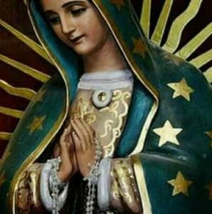 Meet your Posher, Isidro